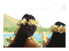 A Maui welcome for your next incentive